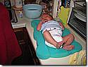 IMG_4552.JPG IMG_4552.JPG