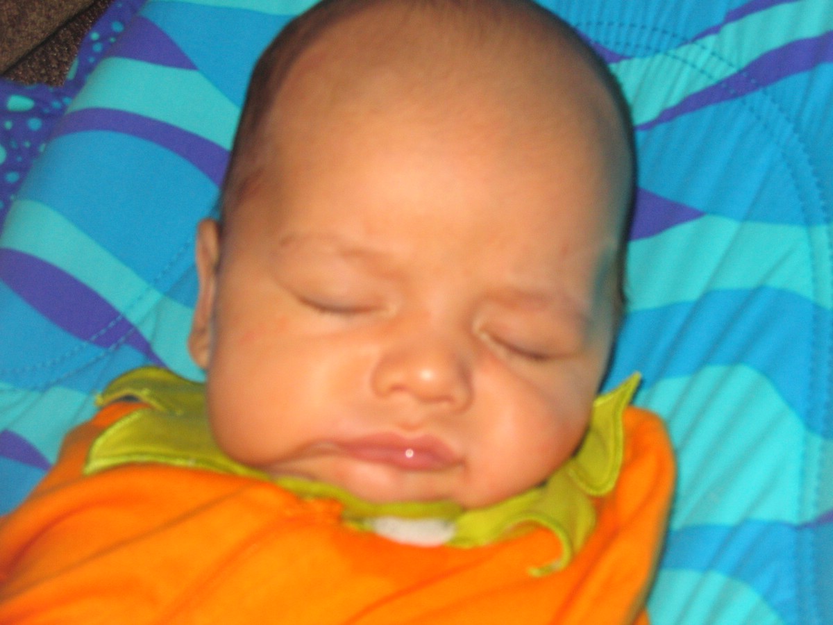 IMG_4557a.JPG