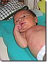 IMG_4561.JPG IMG_4561.JPG