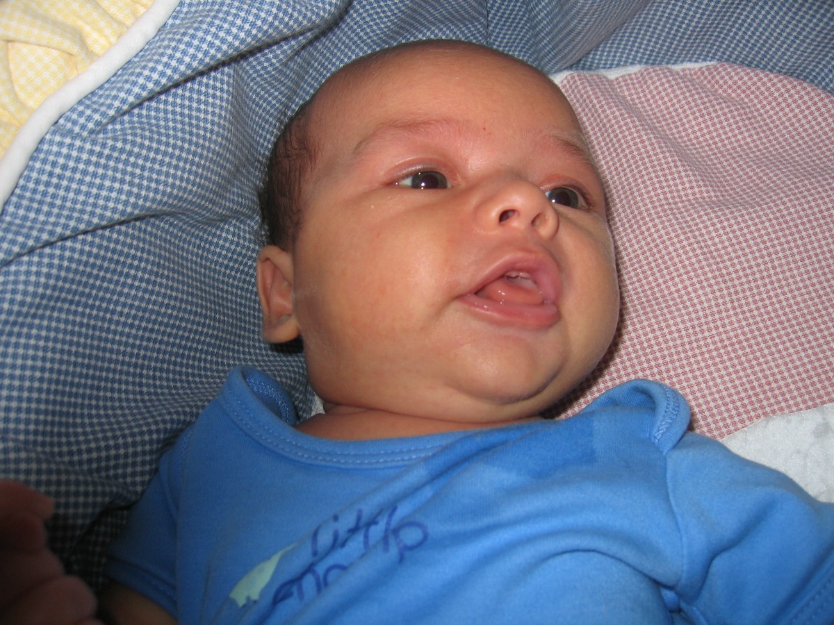IMG_4567a.JPG