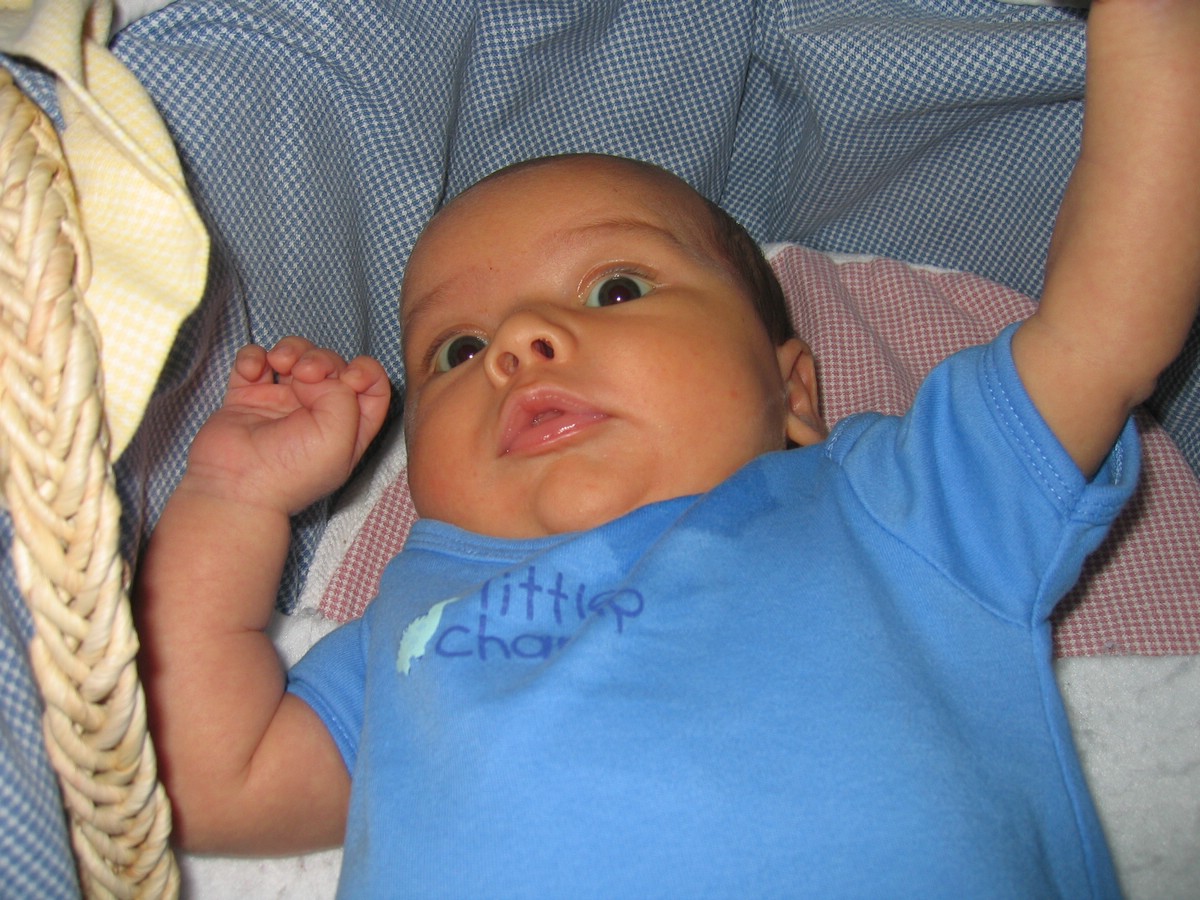 IMG_4568a.JPG