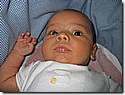 IMG_4571a.JPG IMG_4571a.JPG