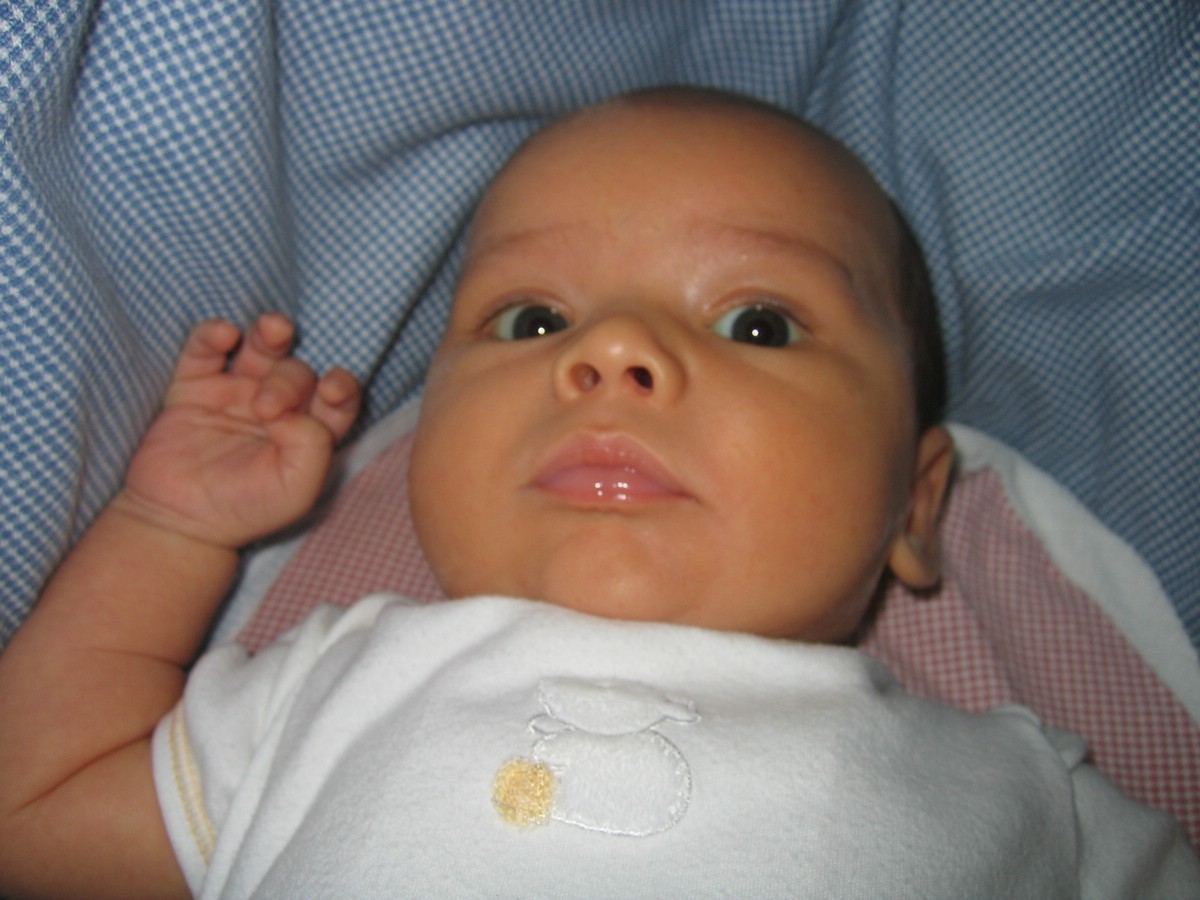 IMG_4571a.JPG