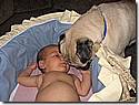 IMG_4578r.jpg IMG_4578r.jpg