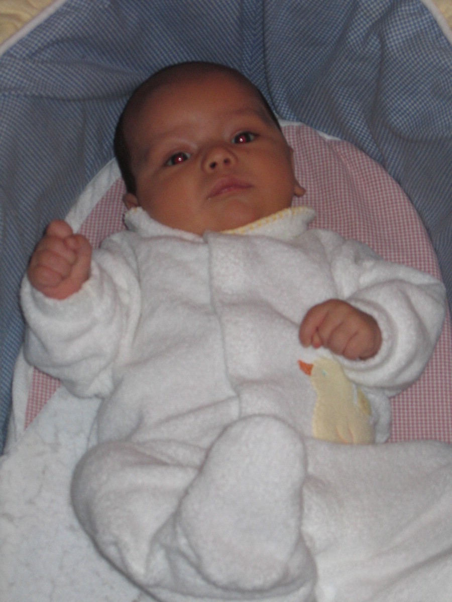 IMG_4649a.JPG