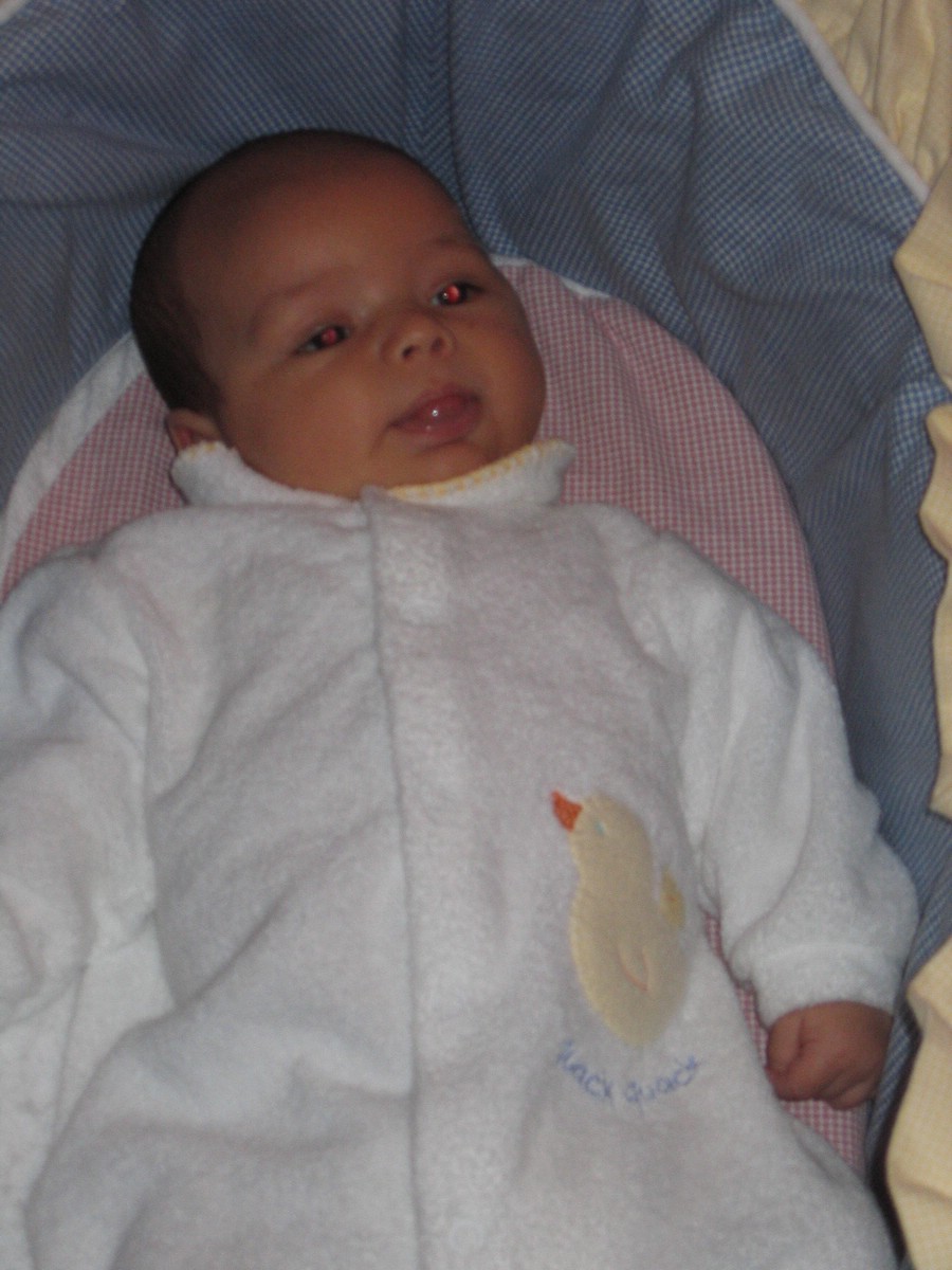 IMG_4650a.JPG