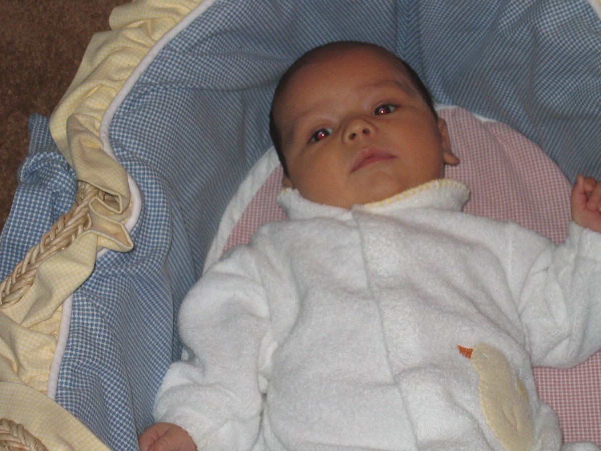 IMG_4651a.JPG