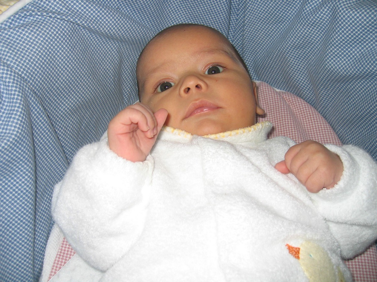 IMG_4653a.JPG