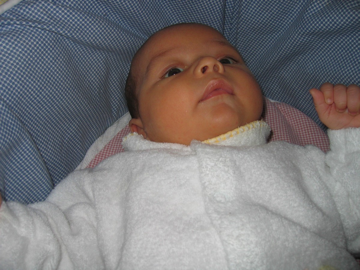 IMG_4655a.JPG