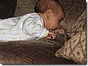 IMG_4669a.JPG IMG_4669a.JPG