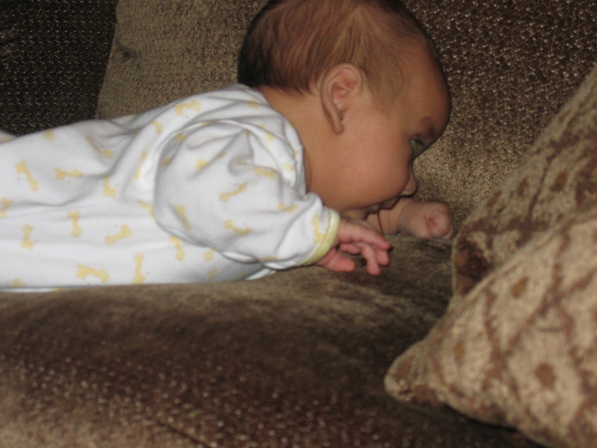 IMG_4669a.JPG
