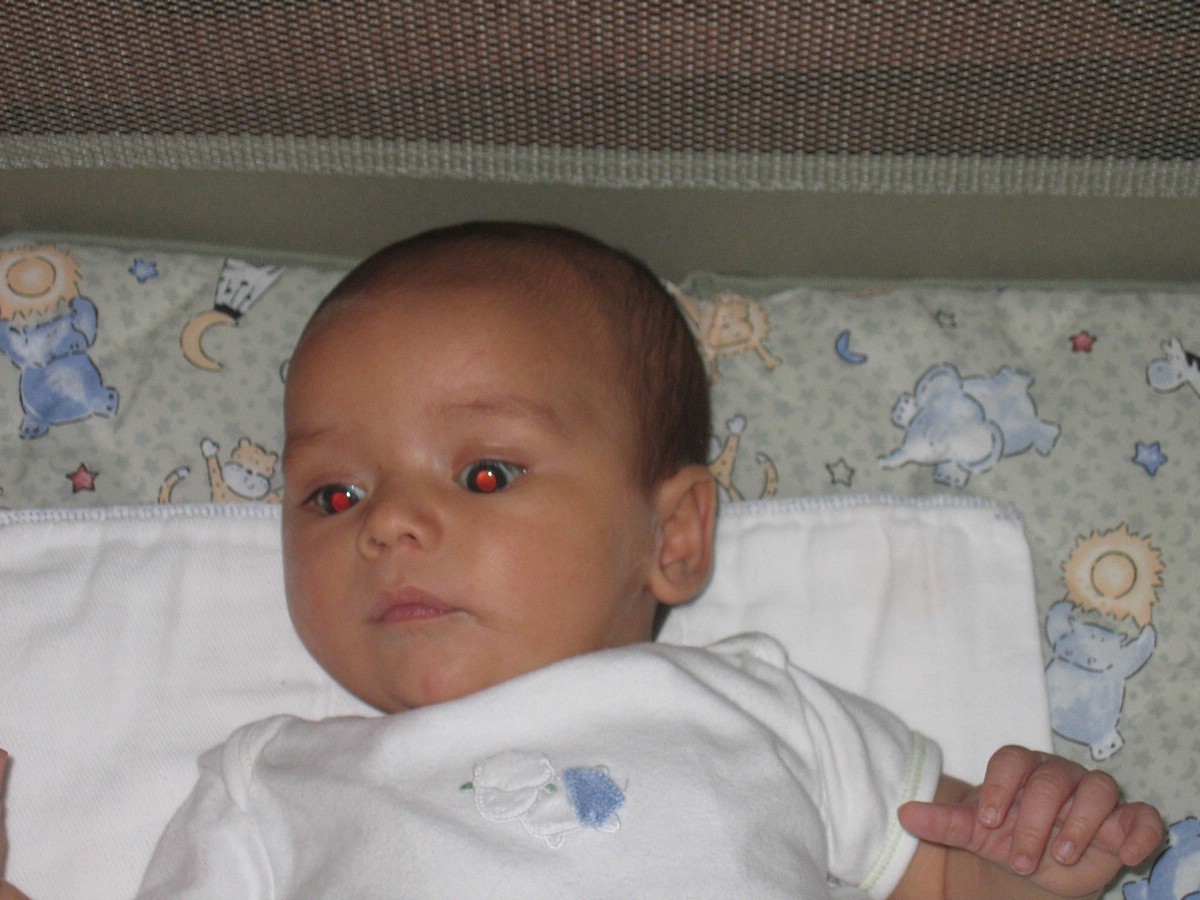 IMG_4703a.JPG