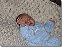 IMG_4712a.JPG IMG_4712a.JPG