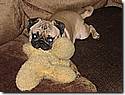 IMG_4747a.JPG IMG_4747a.JPG