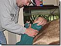 IMG_4902.JPG IMG_4902.JPG