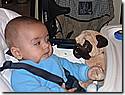 IMG_4973.JPG IMG_4973.JPG
