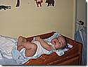 IMG_4982.JPG IMG_4982.JPG