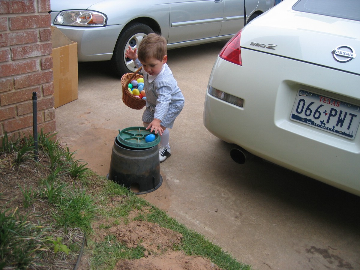 IMG_0695a.JPG