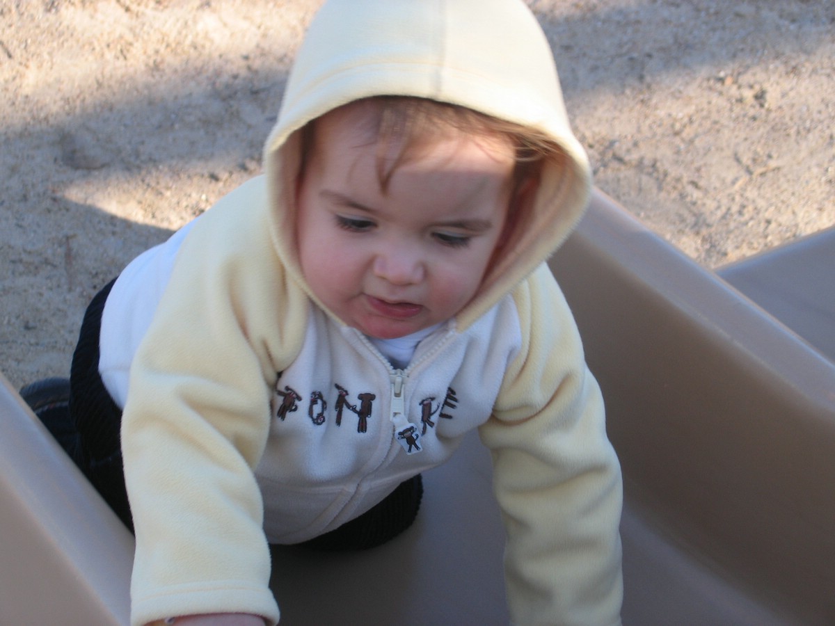IMG_0135a.jpg