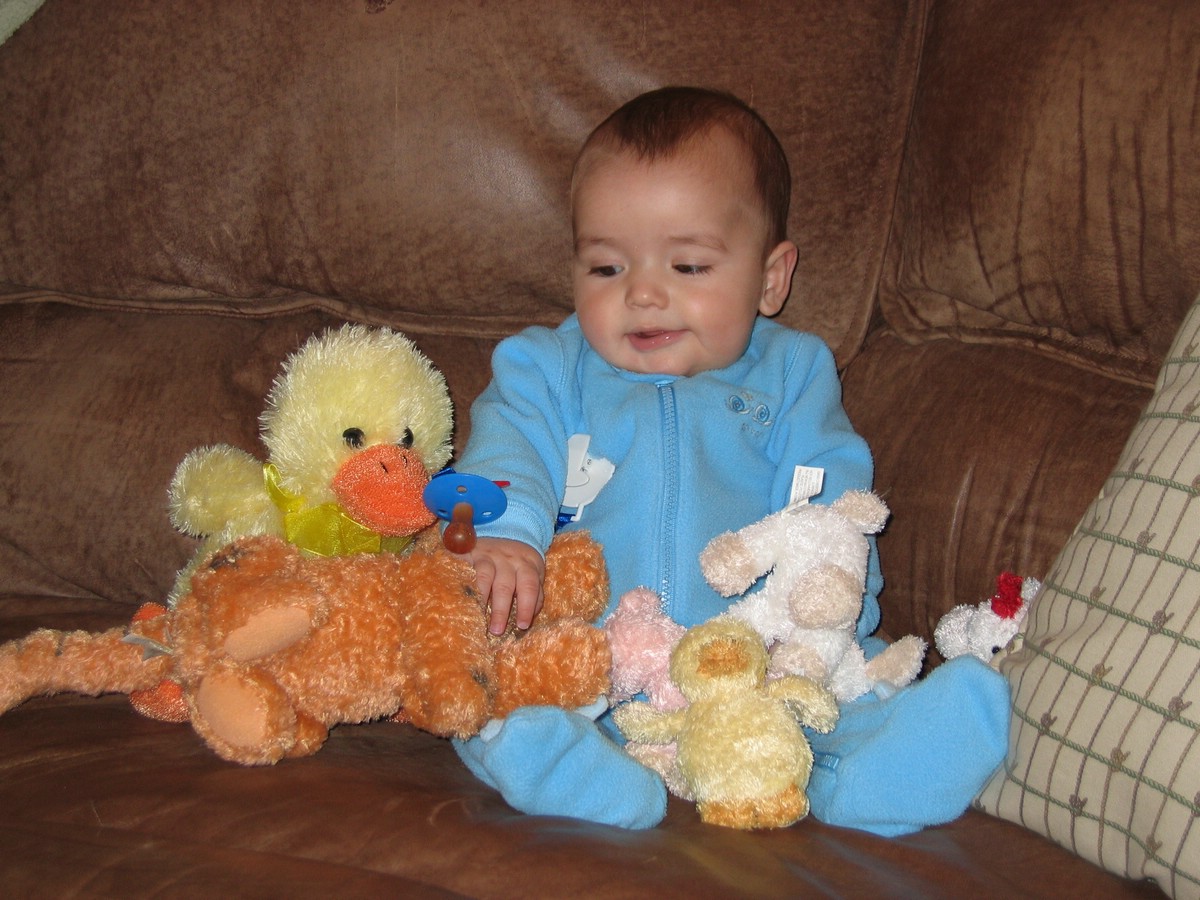 IMG_9582.JPG