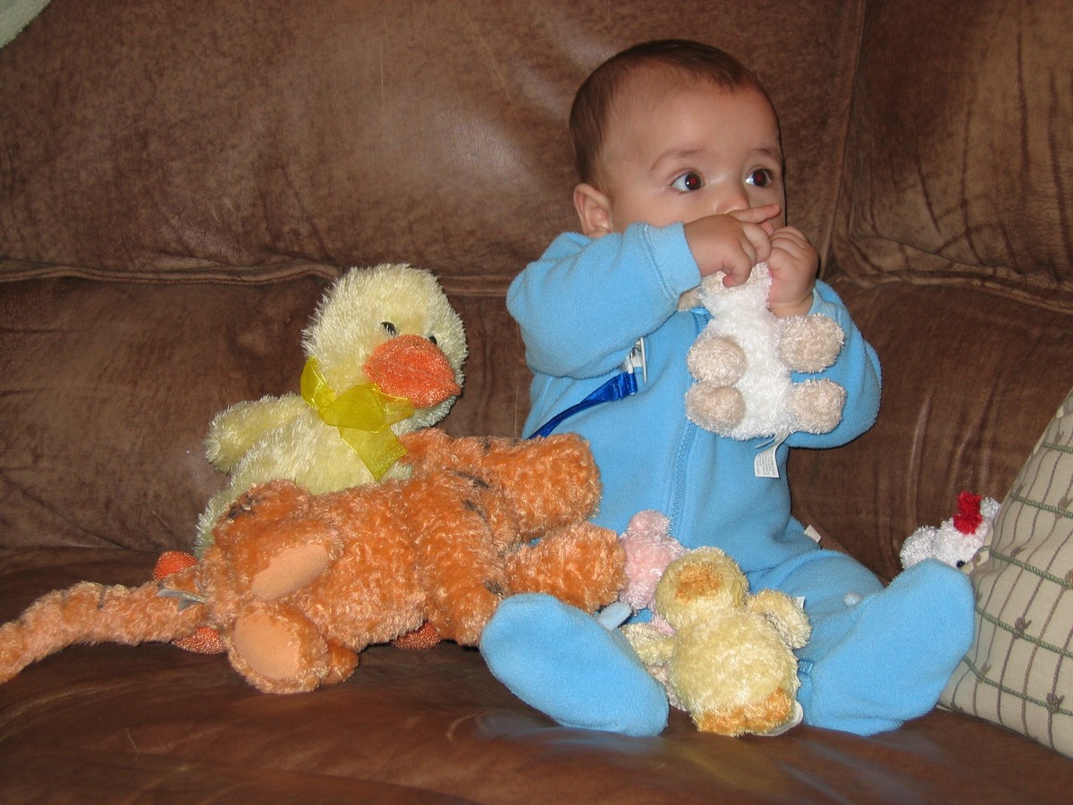 IMG_9584.JPG