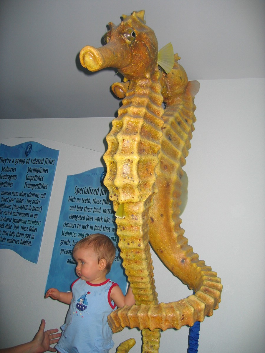 IMG_9783.JPG