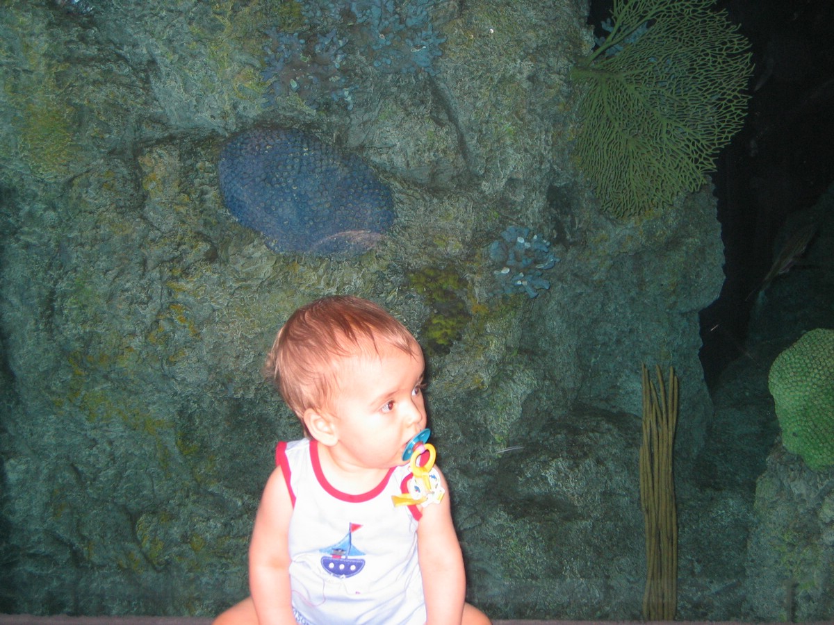 IMG_9786.JPG
