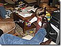 IMG_1137.JPG IMG_1137.JPG