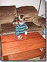 IMG_1231.JPG IMG_1231.JPG