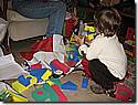 IMG_1244a.JPG IMG_1244a.JPG