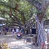 DSCF1657.JPG
