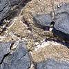 DSCF1787.JPG
