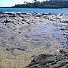DSCF1788.JPG