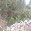 DSCF1846.JPG