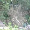 DSCF1847.JPG