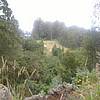 DSCF1849.JPG
