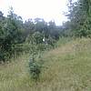 DSCF1850.JPG