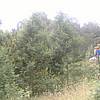 DSCF1851.JPG