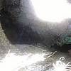 DSCF1876.JPG