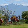 DSCN0199.JPG