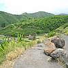 DSCN0214.JPG