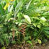 DSCN0218.JPG