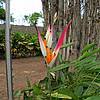 DSCN0222.JPG