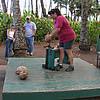 DSCN0226.JPG