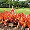 DSCN0230.JPG