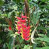 DSCN0231.JPG