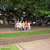 DSCN0254.JPG