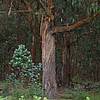 DSCN0258.JPG
