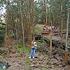 DSCN0263.JPG