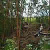 DSCN0268.JPG